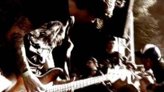 THE SUICIDE FILE | Ashcroft @ Fluff fest &#39;06