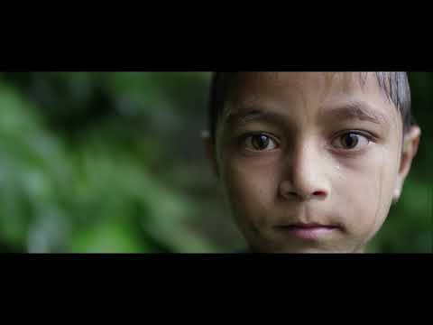 The Last Honey Hunter - Trailer