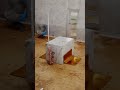 Super Satisfying Cut Marble Mannequin