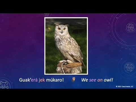 Let's Talk Taíno 27 - Taíno Animals, Articles, and More! 🐸😽🦅