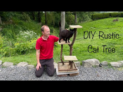 Building a Cat Tree using Branches & Reclaimed wood