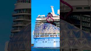 Utopia of the Seas 🛳️ #travel #travelvlog #subscribe #cruiseship #cruise #vacation #shorts #short