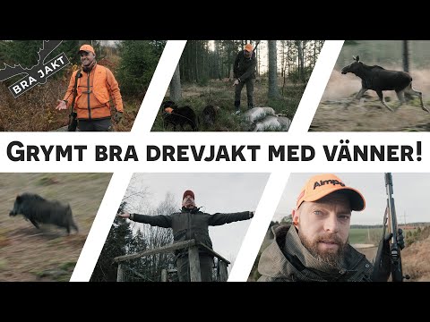 Drevjakt deluxe - 8 vilt fälls på film! | BRA JAKT