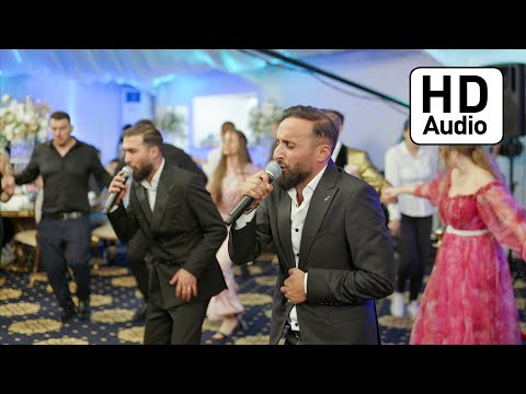 Fratii Damian - Colaj de Nunta Moldova 2024 • Live || ✆ 0754672582