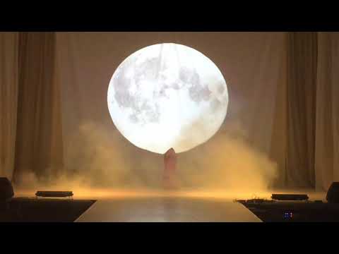 moonlight solo Yang Liping dance cover by Lada