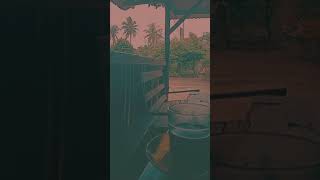 Download lagu Story' wa Kopi Hitam #mentahan #shorts #warung mp3 Download lagu Story' wa Kopi Hitam #mentahan #shorts #warung mp3