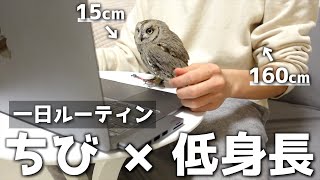 大型ふくろう目玉 Watch Hd Mp4 Videos Download Free 大型ふくろう目玉 Watch Hd Mp4 Videos Download Free