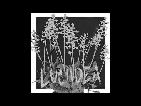 spilt milk - single by Luciidea