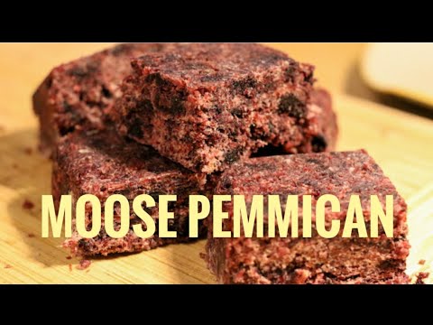 Making Pemmican! The ultimate survival food for the backcountry