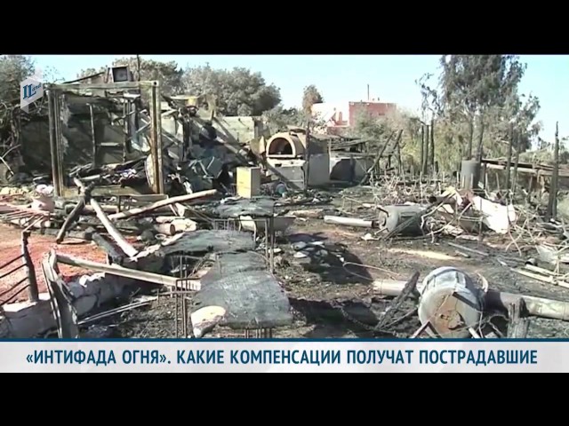 Адвокат Рами Крупник и журналист Евгений Сельц о пожарах в Хайфе