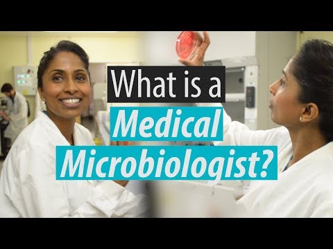 Microbiologist video 2