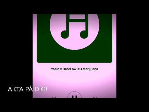 Yasin x Dreelow Martin och Marijuhana Osläppt!!