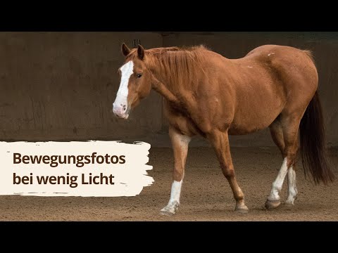 Bewegungsfotos bei schlechtem Licht