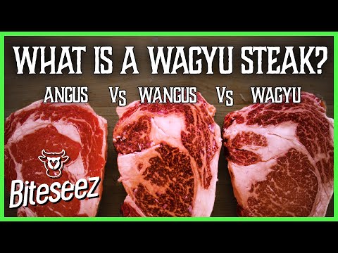 Angus vs American Wagyu vs Wagyu - What's the Difference?
