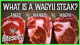 Angus vs American Wagyu vs Wagyu - What's the Difference?