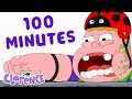 Clarance S 100 Minute Marathon Of Friendly Madness It S Okay Sweetie Cartoon Network
