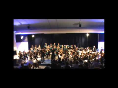 Tchaikovsky violin concerto par GUILLAUME BARLI (1er mvt)