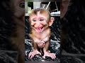 Heart Melting Smiles A Joyful Moment In 360p The Power Of A Smile Uplifting Moments With A