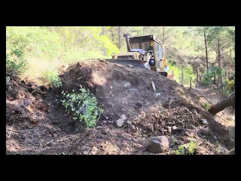 D7G CATERPILLAR BULLDOZER, ROAD WIDENING AND STRAIGHTENING WORKS IN GREEN FOREST AREA NARROW AND OLD