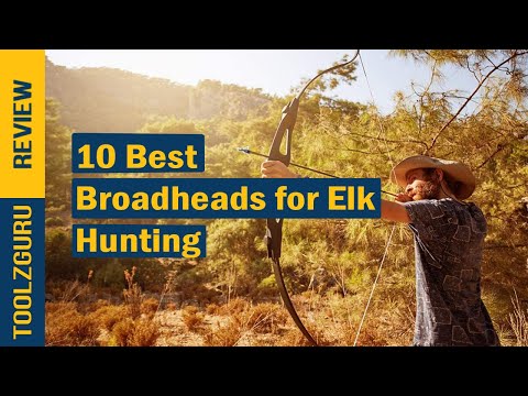 Best Broadheads for Elk Hunting In 2024