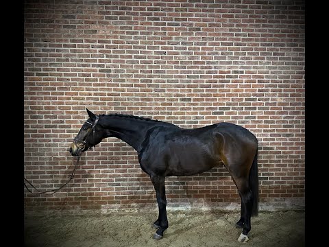 Rico's MCLaren (TOTAL MCLAREN x OSCAR) - Video 5 video thumbnail