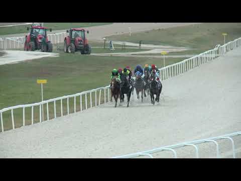 2017.11.12. 7. futam - KINCSEM PARK DÍJA (I.kat.) (szintetikus pálya)