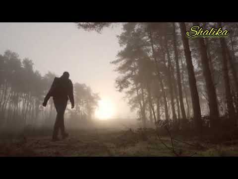 Priya Adari Nawe Ai(Song)