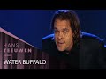 Hans Teeuwen Water Buffalo Live In London