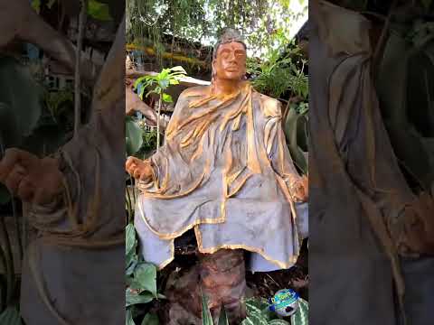 Hotel Cerro Tusa Springs Venecia Antioquia