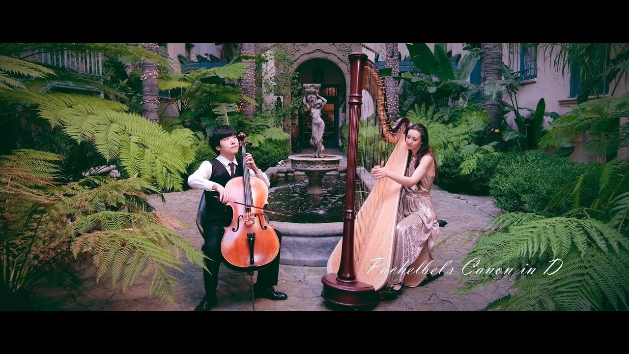 Promotional video thumbnail 4 for Liz Harpist