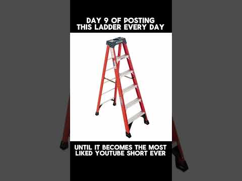 Day 9 of Posting this Ladder Everyday Until it Becomes the Most Liked Short Ever #laddergang