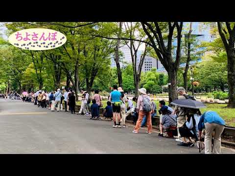 2019_ちよさんぽ３　日比谷公園10円カレー