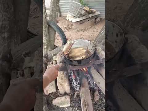 Almuerzo Pescado Bocachico, De Agua Dulce. San Marcos Sucre Colombia.