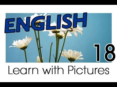 英語を学ぶ - 植物英単語 (Learn English - English Plants Vocabulary)