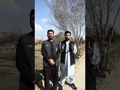 Every Tree for a Hope