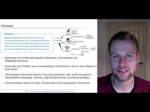 Kognitive Psychologie 1 - Denken, Wissen, Prinzipien der Informationsintegration, Kategorisierung