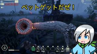 ペットを回収しながら森を進んで行こう！〈Pacific Drive〉part34