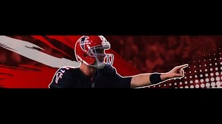 Falcons Defend The Dome