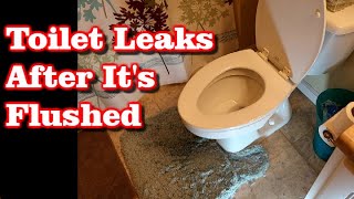 Toilet Tank Leaks Only When Flushed