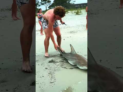 Shark Encounter at Coligny Beach, SC! Teen hero releases a blacktip shark safely back to the ocean