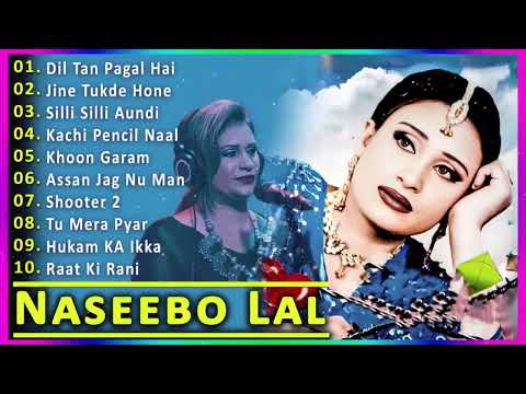 Best Of Naseebo Lal : All Time Super Hit Evergreen Punjabi Sad Songs Mashup | Audio Jukebox Playlist
