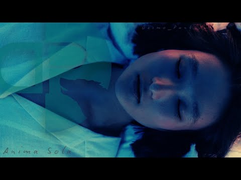 DESMO_PUNK - Anima Sola