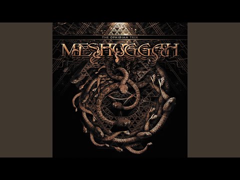 Videoclip de Swarm (Live) — Meshuggah