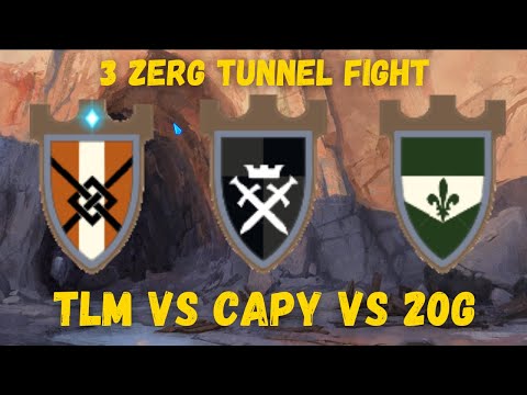 Albion Online ZvZ | Ursine Maulers POV | TLM vs CAPY vs 2OG | Tunnel Fight