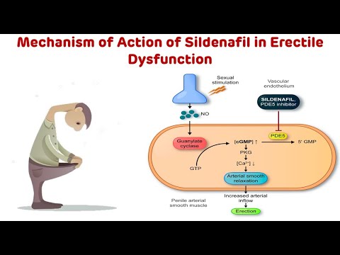 50mg Penegra Sildenafil Citrate Tablets IP