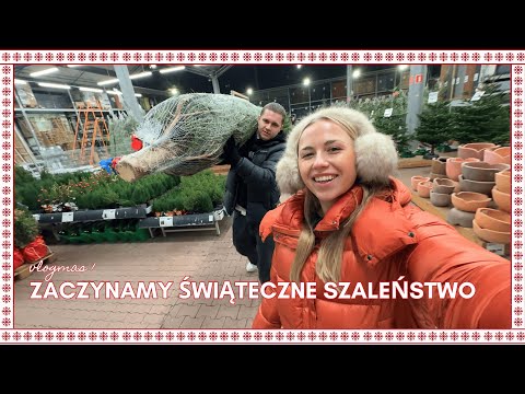 FAIL Z POSZUKIWANIEM IDEALNEJ CHOINKI 😭🌲| VLOGMAS 1