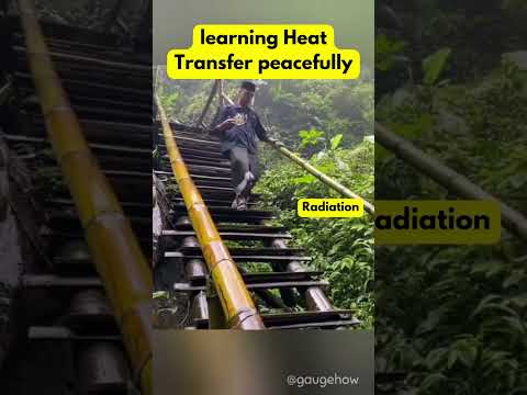 Heat Transfer Meme