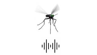 Download lagu EFEK SUARA NYAMUK MENGGANGGU/ANNOYING MOSQUITO SOUND EFFECT mp3