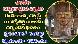 Temple video