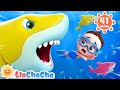 Baby Sharks In The Water Ten Little Sharks Number Song Kids Songs Nursery Rhymes LiaChaCha